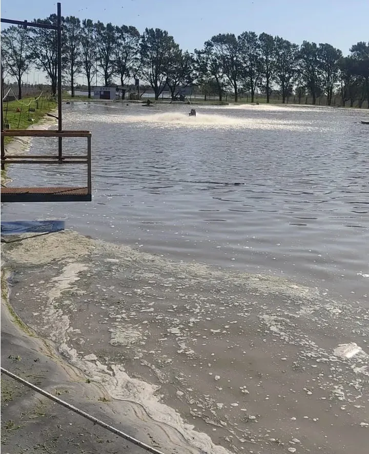 11zon efluentes cofco junin 5 5 11zon Planta de tratamiento de agua y reparación de chiller