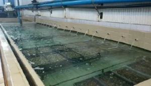 En el proceso de potabilización de agua se usa el filtrado del agua