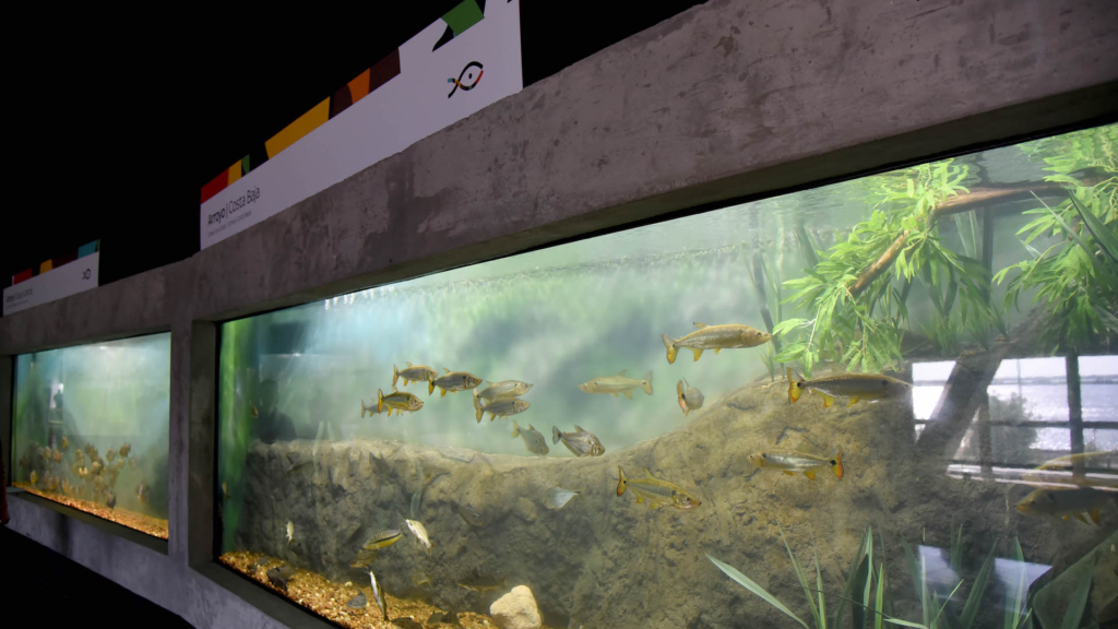 ACUARIO CLIMATIZACION 4 Planta de tratamiento de agua y reparación de chiller